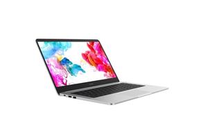 Huawei Volta-W50D MateBook D 14", 8th Gen Intel i5, 8GB+256GB MX150, Mystic Silver 