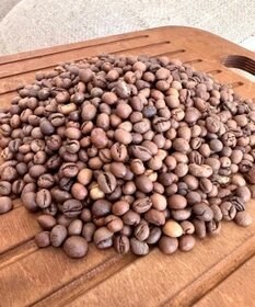 قهوه روبوستا پی بی (PB) هند - مدیوم شکلاتی (متوسط)دان قهوه (آسیاب نشده)1 کیلویی 
