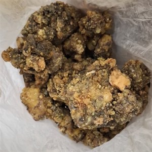 انغوزه (آنغوزه یا حنتیت)