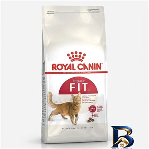 غذای خشک گربه رویال کنین مدل کنترل وزن Regular Fit 32 وزن ۲ کیلوگرم
