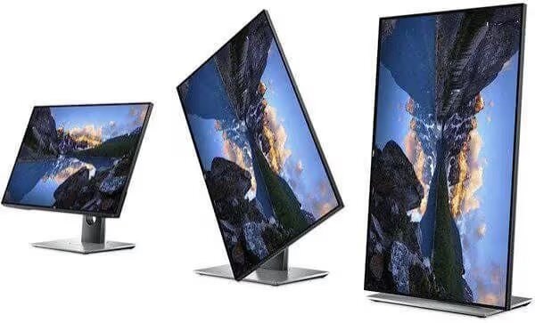 MONITOR DELL P2419H (24
