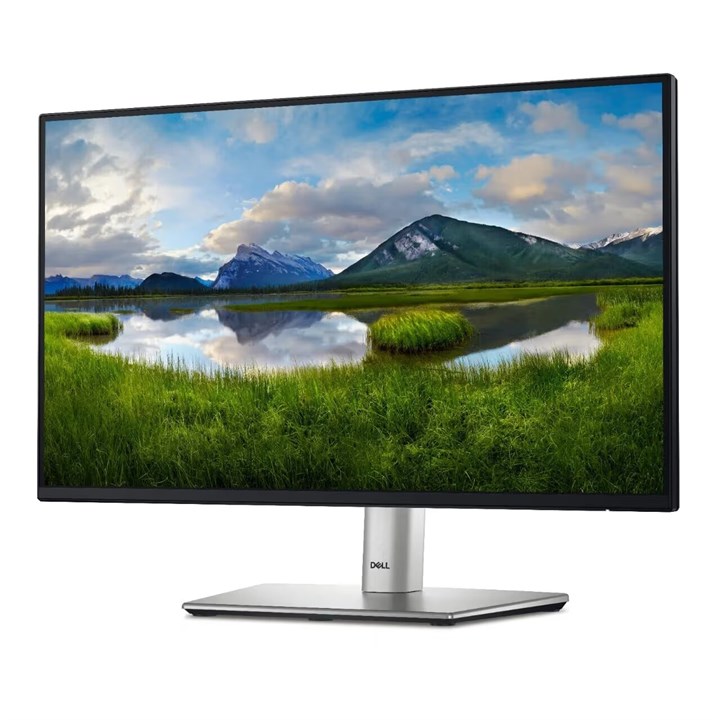 MONITOR DELL P2422H (24