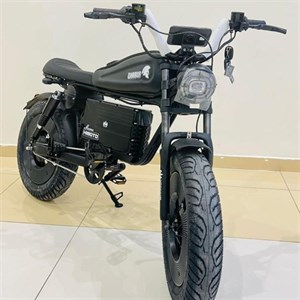 موتورسیکلت برقی  واریور