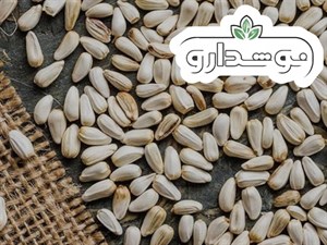 تخم کافشه (تخم کوشه)