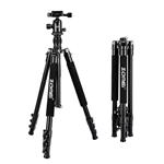 Zomei Q555 Lightweight Alluminum Alloy Camera Tripod with 360 Degree Ball Head + 1/4" Quick Release Plate for Canon Nikon Sony Samsung Panasonic Olympus Fuji DSLR and Camcorders