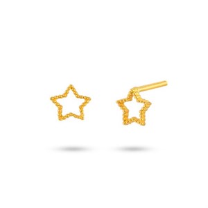 گوشواره میخی طلا 18 عیار مدل میخی ستاره گوارسه ریز کد EM220 کیاگالری 