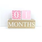 Wooden Baby Milestone Blocks - 3 Color Styles - Best Baby Age Photo Props, Wooden Age Blocks, Baby Photography Props, Nursery Decor, Baby Shower Gifts by Sweet Sage Studio