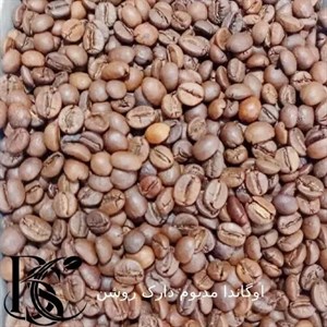 دان روبوستا اوگاندا مدیوم دارک 500 گرمی