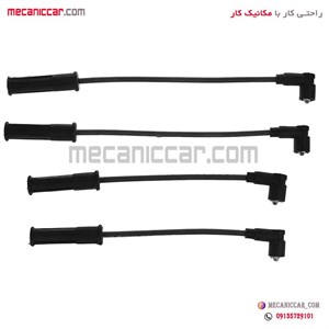 وایر شمع پیکان انژکتور رایژن