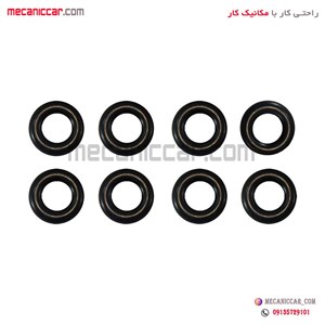 اورینگ سوزن انژکتور پراید فال گستر