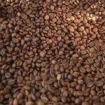قهوه ۱۰۰ درصد روبوستا ویتنام فول کافئین بسته 500 گرمی