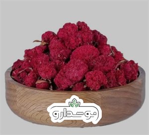 گلنار فارسی (گل انار)