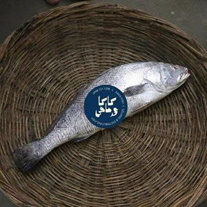 میش ماهی (مجلسی، اعیانی)