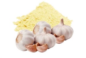 پودر سیر - 10 کیلوگرم (قیمت عمده)