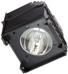FI Lamps Toshiba 65HM167_5655 Compatible with Toshiba 65HM167 TV Replacement Lamp with Housing