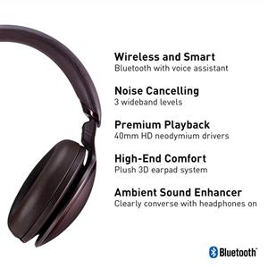 Panasonic Noise Cancelling Headphones with Wireless Bluetooth and Smartphone Siri or Google Voice Assistant RP-HD605N-T Over the Ear Headphone (Brown) 