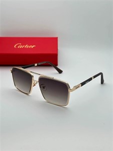 عینک کارتیر کد 33177 Cartier