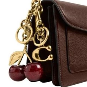 بگ‌چارم کوچ Coach مدل گیلاس