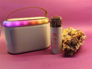 اسپیکر Karaoke بلوتوثی | Q6