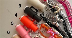 چارم بگ زنانه استنلی رنگبندی Charm-8428-L