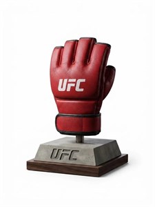 دستکش MMA