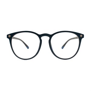 عینک محافظ چشم  مدل TR29-Anti Blue Light
