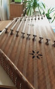 سنتور محسن راسخ
