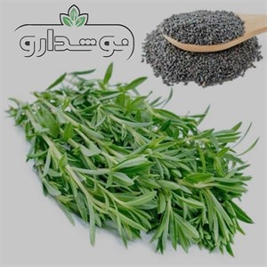 بذر مرزه (تخم مرزه)