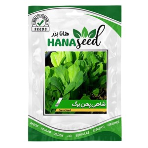 بذر شاهی برگ پهن