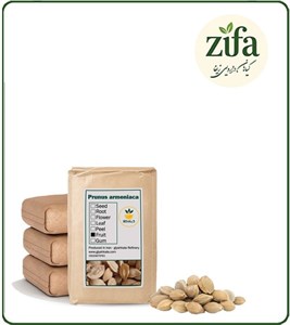 هسته زردآلو خشک فله