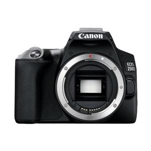 بدنه دوربین عکاسی کانن 250 دی Canon EOS 250D Body 