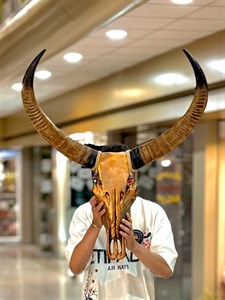 دیوارکوب شاخ گاو فایبرگلاس