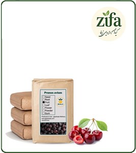 میوه گیلاس خشک فله