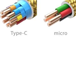 IFI Audio Audiophile OTG Cable 