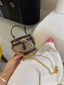 کیف مینی زنجیری coach