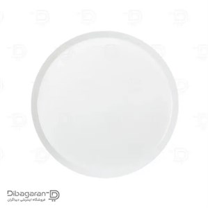 دیس گرد چینی زرین مدل فرم اس سایز 30
