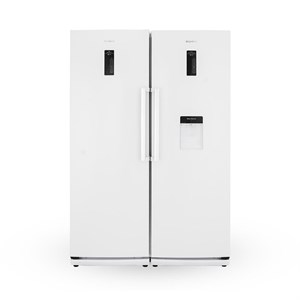 یخچال و فریزر دوقلو دیپوینت مدل D5i