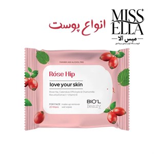 دستمال آرایش پاک کن 20 عددی (پوست چرب مختلط خشک) بیول BIOL