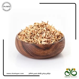 بهار نارنج شیراز