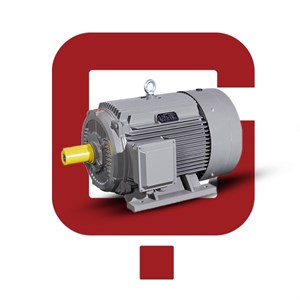 الکتروموتور سه فاز 1.1 کیلووات (1.5 اسب) 900 دور استریم پوسته چدن 1.5HPX6P-Y