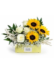 گل برای روز قاضی