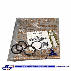 اورینگ پمپ روغن هیدرولیک تیبا سایپایدک 109903