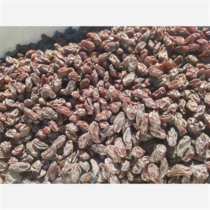 مویز رطبی گوشتی 1کیلوگرم 