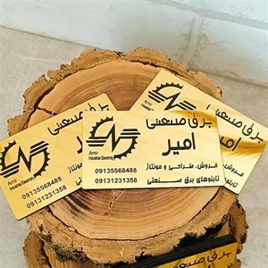 کارت ویزیت مولتی استایل با حک اختصاصی متن و لوگو مورد نظر شما در ابعاد دلخواه (پس کرایه)