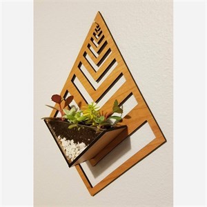 شلف و گلدان دیواری چوبی و پلکسی (پس کرایه)