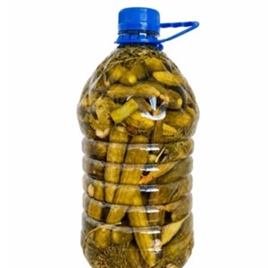 خیار شور خانگی خوش طعم 