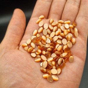پک 100 عدد چشم گربه نارنجی