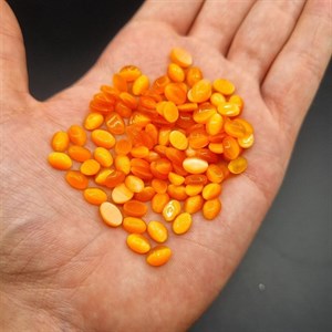 پک 100 عدد چشم گربه نارنجی روشن