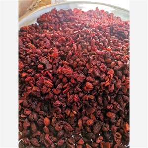 زغال اخته اعلا خشک بدون هسته درجه یک 1404