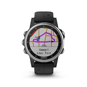 Garmin fenix best sale 5 plus silver